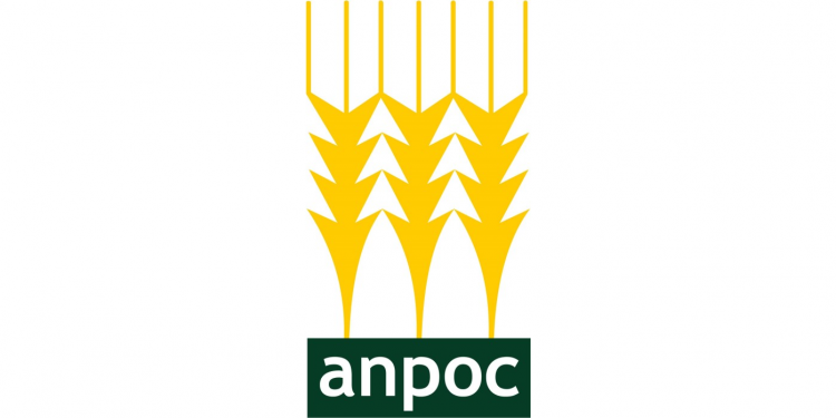 anpoc