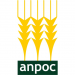 anpoc