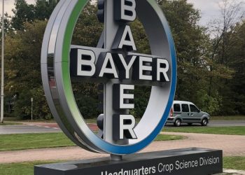 bayer