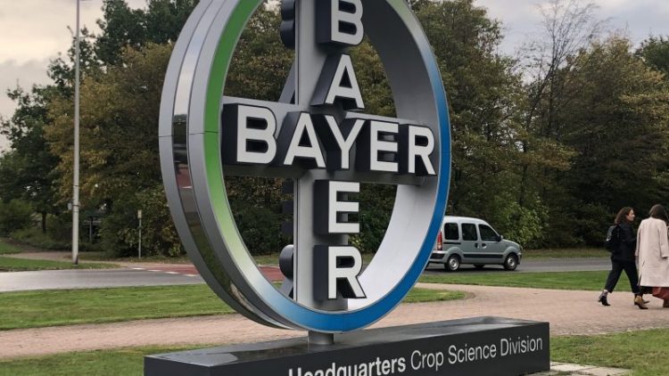 bayer