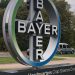 bayer