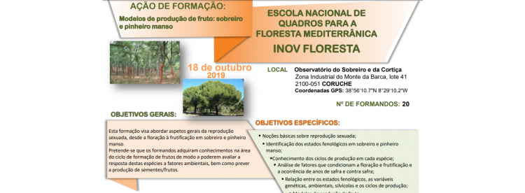 formação sobreiro e pinheiro manso