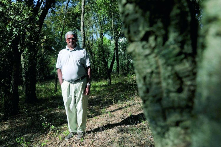 Domingos Xavier Viegas