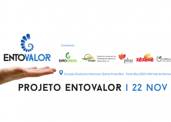 projeto entovalor 22 nov