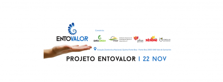 projeto entovalor 22 nov