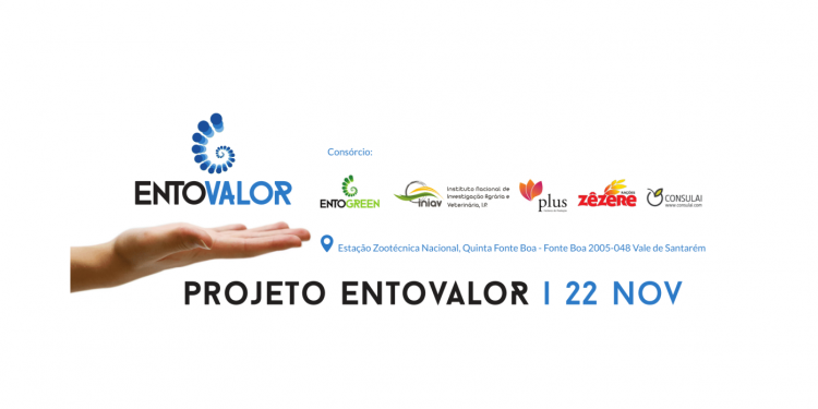 projeto entovalor 22 nov