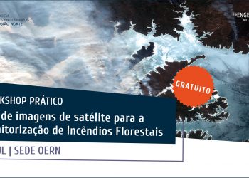 sentinel incendios