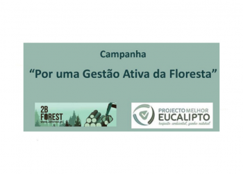 2bforest-e-celpa