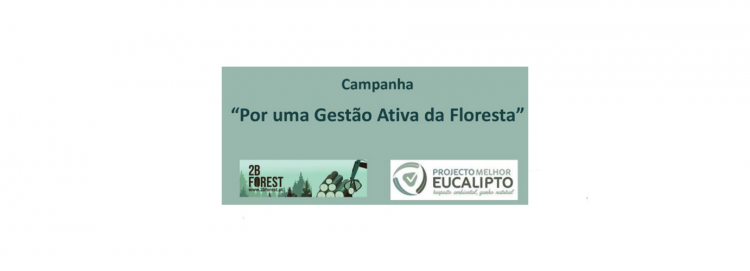 2bforest-e-celpa