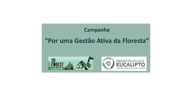 2bforest-e-celpa
