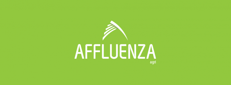 Affluenza
