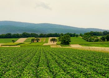 Agricultura