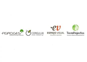 Agroges-consulai-esp-visual-terreprojetos