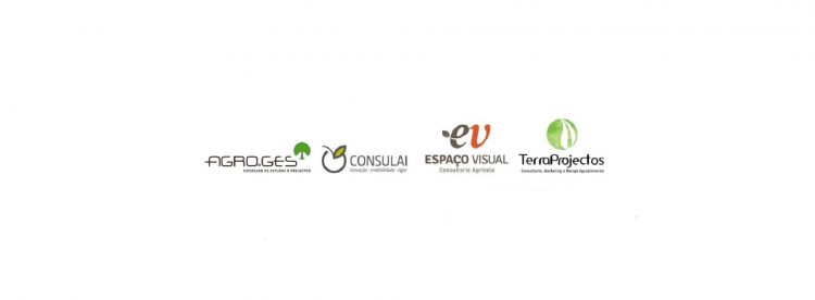 Agroges-consulai-esp-visual-terreprojetos