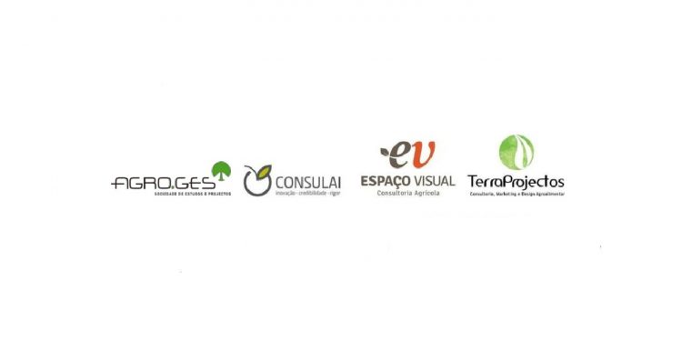 Agroges-consulai-esp-visual-terreprojetos