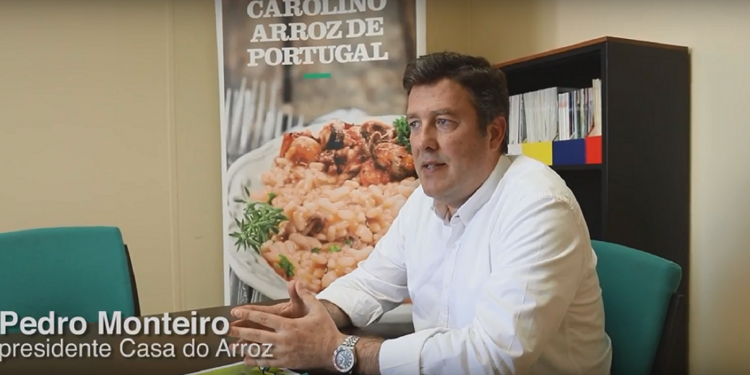 arroz carolino