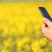 Marketing digital Agroalimentar