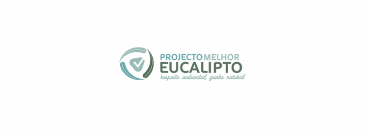 Celpa-melhor-eucalipto