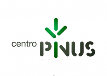 Centro-Pinus1