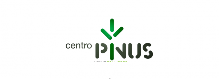 Centro-Pinus1