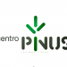 Centro-Pinus1