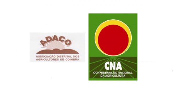 Cna-e-Adaco