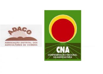 cna e adaco