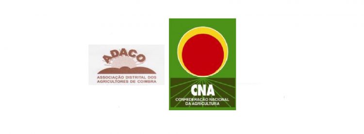 cna e adaco