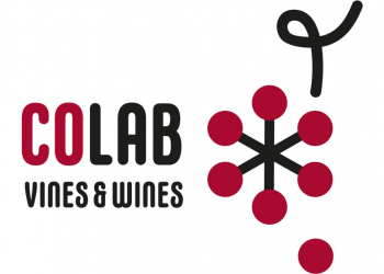 Logotipo Colab vines wines