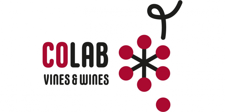 Logotipo Colab vines wines