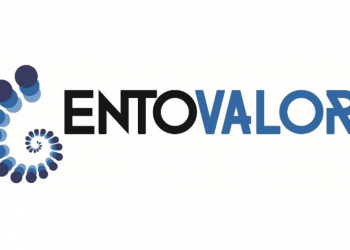 EntoValor