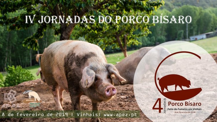 IV-Jornadas-Bisaro