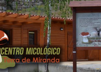 ecocentro