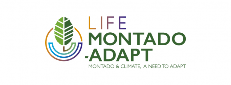 Life Montado-Adapt