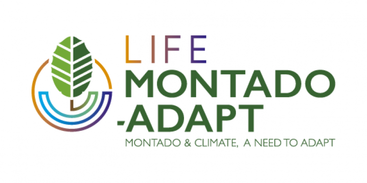 Life Montado-Adapt