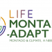 Life Montado-Adapt