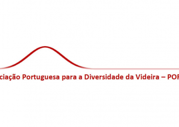 porvid