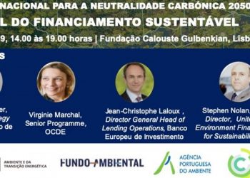neutralidade carbónica