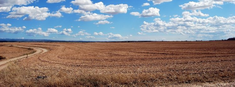 agricultura-seca