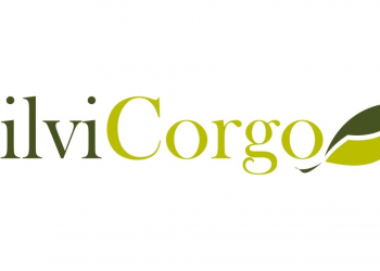 SilviCorgo