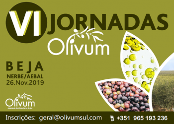 VI Jornadas Olivum