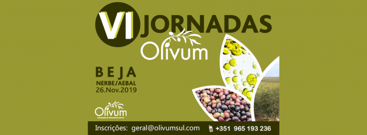 VI Jornadas Olivum