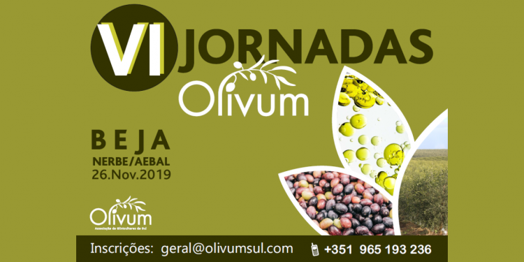 VI Jornadas Olivum