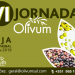 VI Jornadas Olivum