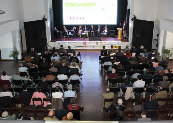 XI Jornadas FENAREG