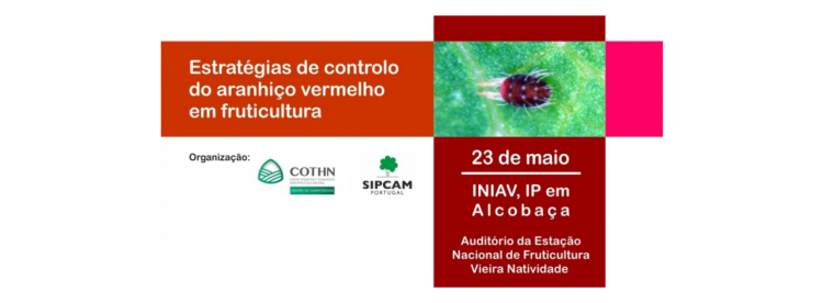 controlo do aranhiço vermelhos
