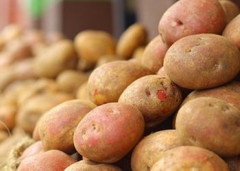 Acordo de AEPED para batata