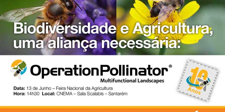 operation pollination portugal