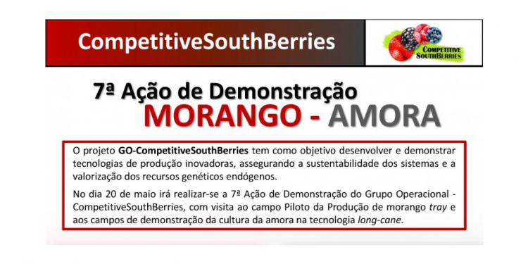 morango competitive south berries