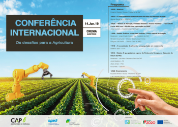 Conferência Internacional